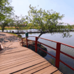 FestCão 2025 em Suzano contou com serviços da Prefeitura, adoção e atividades no Parque Max Feffer