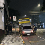 FestCão 2025 em Suzano contou com serviços da Prefeitura, adoção e atividades no Parque Max Feffer