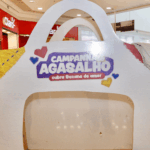 Secretaria de Assistência Social de Suzano Realiza 6ª Conferência Municipal da Pessoa Idosa