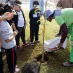 Mogi das Cruzes Oferece Vagas Remanescentes em Curso Gratuito de Elétrica e Iluminação Cênica