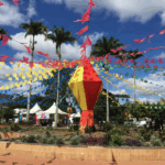 Garça é Resgatada Após Ficar Presa em Linha de Pipa no Parque Centenário