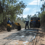 Projeto Brotos de Mogi: Avenida das Orquídeas Ganha 50 Novas Mudas Nativas da Mata Atlântica