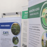 Projeto ‘Cria na Paz’ Transforma Famílias e Escolas no Jardim Cacique