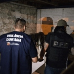 Cemforpe Recebe Espetáculo Circense e Enche a Tarde de Mais de 300 Crianças de Mogi!