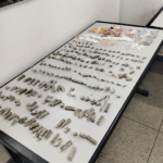 Suzano é Destaque em Evento de Vigilância Sanitária em Avaré