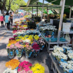 ‘Dia D’ do Outubro Rosa Traz Carreta de Mamografia e 10 Postos de Saúde Abertos em Suzano