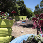 Projeto “Baby, me Leva!” Terá Edição Presencial de Adoção no Parque Max Feffer