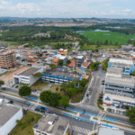 ‘Baby, me Leva!’ Garante Novo Lar para 25 Cães e Gatos em Suzano