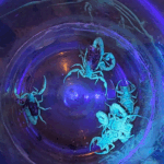 Guararema Celebra a Tradicional Festa de Nossa Senhora da Escada Neste Fim de Semana