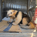 Matrículas Abertas para o EJA (Supletivo) em Ferraz de Vasconcelos para Ensino Fundamental