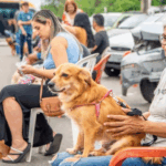 Preparação Máxima Contra Desastres: Defesa Civil de Itaquá Realiza Simulado de Enchente na Vila Sônia