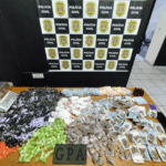 Polo de Empregabilidade Inclusiva de Suzano Encerra 2025 com Foco na Inclusão de Pessoas com Deficiência