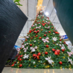 Conselheiros de Escolas de Mogi Encerram Ciclo de Visitas na Câmara Municipal