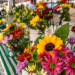Mogi das Cruzes e CDHU Realizam Escolha de Unidades no Condomínio Mogi R