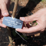 Sabesp Fará Manutenção em Bombas no Jardim Santa Tereza e Pode Causar Intermitência no Abastecimento em Mogi
