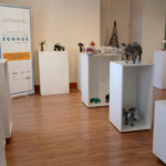 Emocionante ‘Corredor da Alegria’ Marca Alta de Paciente Após 41 Dias no Hospital Municipal de Mogi