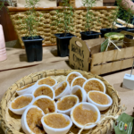 Revitalização de UBS e Laboratório Municipal Completa 2 Anos com Aumento no Atendimento