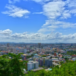 Mogi das Cruzes lança novo WhatsApp para serviços de limpeza pública