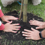 Tarcísio garante R$ 1 bilhão em obras e novos equipamentos para Suzano