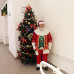 Última edição do ‘Baby, me Leva!’ de 2025 garante novos lares para 16 pets