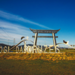 Esporte encerra 2025 com mais de 28 mil alunos e recorde de modalidades