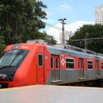 Cidade planta mais de 1,8 mil árvores e garante novo lar para 500 pets em 2025