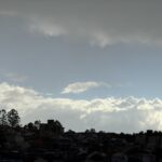 Projeto “Brotos de Mogi” Realiza Plantio de Mudas Nativas na Vila Nova Aparecida