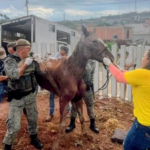 Copinha em Mogi: União pode garantir classificação antecipada nesta quarta-feira no Nogueirão