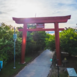 Atenção, Estudante! Suzano libera inscrições para o Passe Livre 2026; saiba como garantir o seu