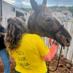 Mogi das Cruzes registra queda em todos os principais índices criminais