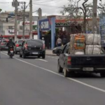 Amor de Quatro Patas: Mais de 80 animais buscam um novo lar em Itaquaquecetuba