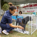 Oportunidade: Casa da Mulher de Itaquá abre inscrições para curso gratuito de Pães e Pizzas Artesanais
