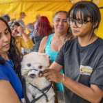 Câmara de Mogi recebe investimento de R$ 1,1 milhão para obras de acessibilidade e modernização