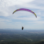 Primeira edição do ‘Baby, me Leva!’ de 2026 termina com 32 adoções em Suzano