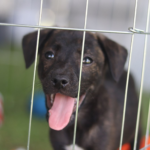 Mogi das Cruzes abre pesquisa para moradores avaliarem o turismo local