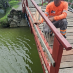 GCM de Mogi localiza carro furtado em Suzano após encontrar placa escondida em matagal