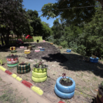 USF Jardim Europa celebra dois anos de reinauguração com marca histórica de 174 mil atendimentos