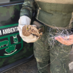 Procon de Itaquá emite alerta contra golpes e furtos de dados