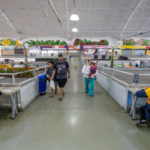 Passe Livre Estudantil Já Soma 1,3 Mil Inscritos em Suzano