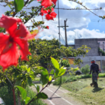 Suzano Assume Liderança em Seis Áreas Estratégicas do Condemat+ em 2026