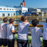 Projeto “Brotos de Mogi” Realiza Plantio de Mudas Nativas na Vila Nova Aparecida