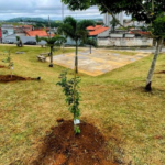 Verão com Máximas de 28°C e Pancadas Fortes Marcam a Semana em Mogi