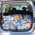 Final feliz: 19 pets ganham um novo lar em edição especial do ‘Baby, me Leva!’ em Suzano