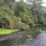 GCM “limpa” as ruas: Tráfico em Braz Cubas e foragido no Santo Ângelo caem em menos de 24 horas