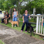 FAXINA PESADA: Itaquá retira quase 12 toneladas de lixo das ruas em apenas uma semana