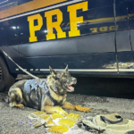 Marcio Alvino destina R$ 1 milhão para fortalecer a agenda ambiental de Suzano