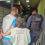 Carnaval no Mogi Shopping: Programação gratuita tem bloquinho infantil e sessão inclusiva neste sábado