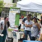 Carnaval Seguro: São Paulo inicia megaoperação com drones, 5 mil policiais e foco no combate ao assédio
