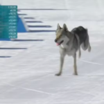 Carnaval Seguro: ROMU garante a ordem e evita confusões no distrito de Sabaúna