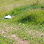 Suzano avança na modernização da iluminação pública com mais de 560 atendimentos em janeiro